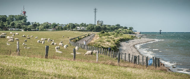 Ferienwohnung in Fehmarn - Wohnung 1 - Bild 14