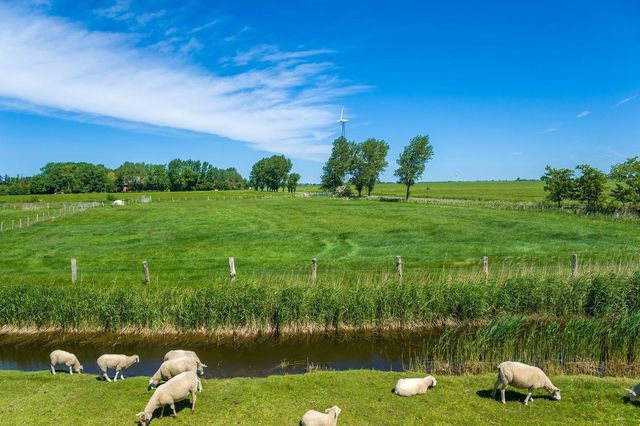 Ferienwohnung in Fehmarn OT Lemkenhafen - Ferienwohnung Elke - Bild 25