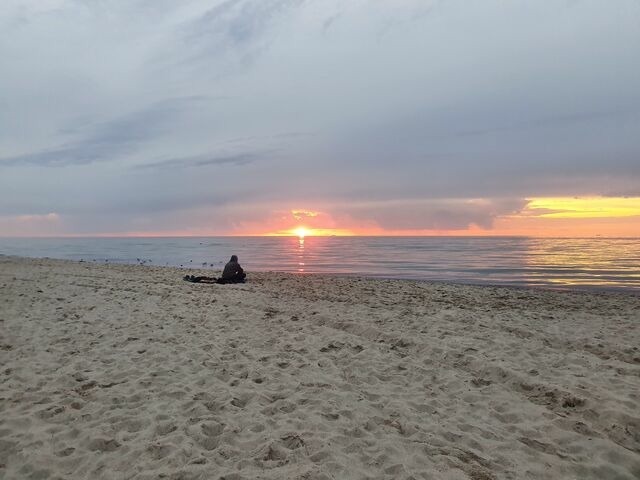 Ferienwohnung in Ribnitz-Damgarten - Ferienhof SchilfMeer - Fewo "Heuboden" - Bild 22