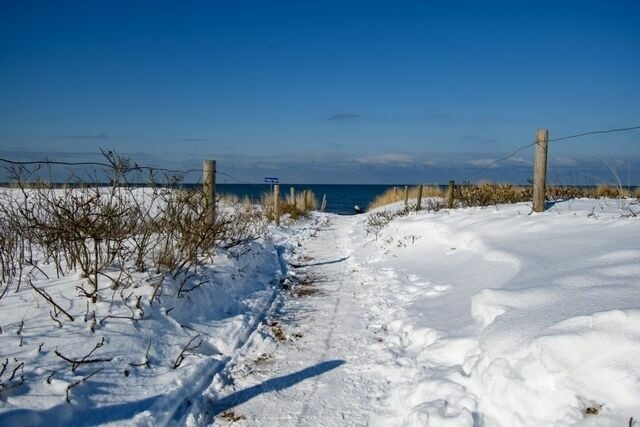 Ferienwohnung in Graal-Müritz - Aster - Bild 25