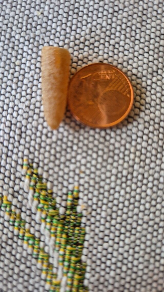 Ferienwohnung in Fehmarn - Ferienwohnung Wildblume - Bild 21