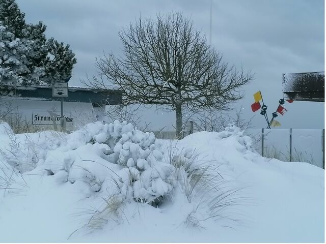 Ferienwohnung in Dahme - Plön Lars - Fewo 2 - Bild 25