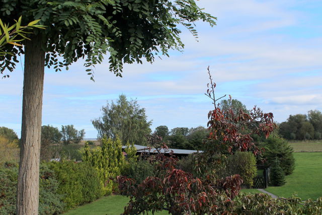 Ferienwohnung in D&auml;ndorf - Alte G&auml;rtnerei App. Hortensie - Bild 22