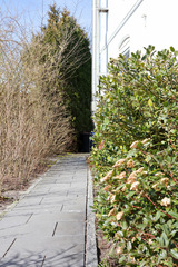 Ferienwohnung in Dahme - Ferienhaus Ostseeliebe - Bild 14