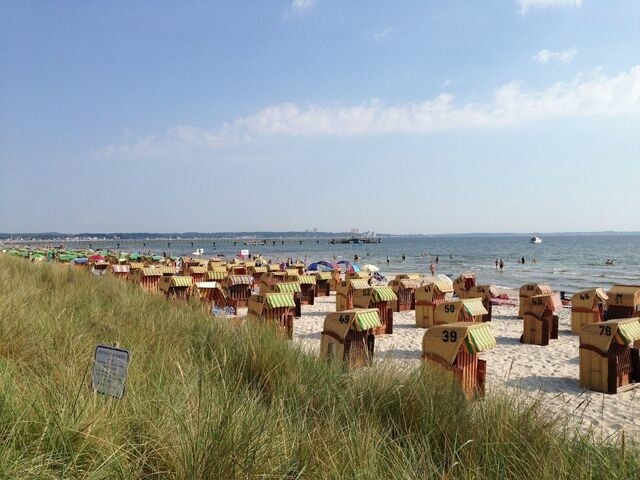 Ferienwohnung in Scharbeutz - HAN/807 - Witthus (max. 2 Erwachsene und 2 Kinder) - Bild 15