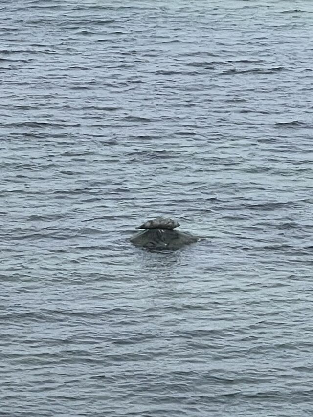 Ferienwohnung in Steinbeck - MP 4 Meerjungfrau - Bild 14