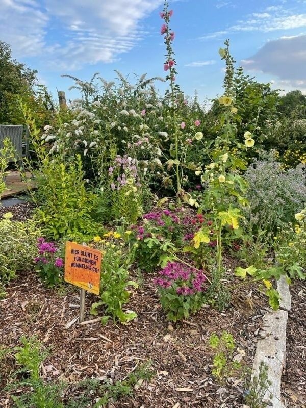 Ferienwohnung in Steinbeck - MP 7 Backbord - Bild 19