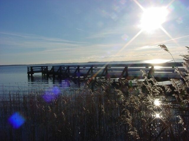 Ferienwohnung in Born a. Darß - Ferienwohnung Nr. 07 (OG + Spitzboden) - Bild 22
