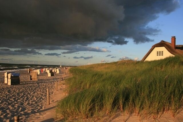 Ferienwohnung in Born a. Darß - Ferienwohnung Nr. 06 (EG) - Bild 18