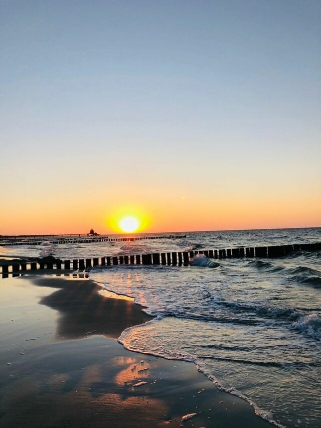 Ferienwohnung in Zingst - Igel - Bild 14