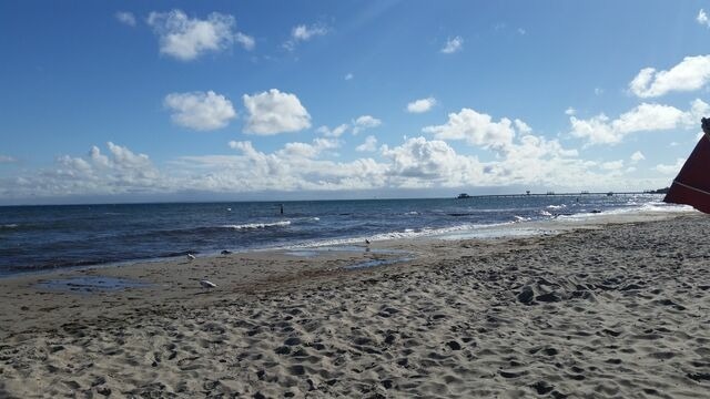 Ferienwohnung in Kellenhusen - Rosa Canina, W9 - Bild 15