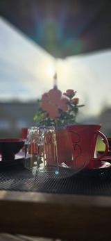 Bungalow in Zinnowitz - Ferienhaus Wiese und Meer - Bild 3