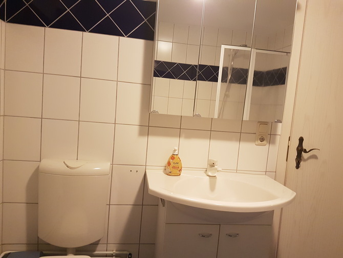 Ferienwohnung in Duvendiek - Ferienwohnung Storchenhof - Badezimmer