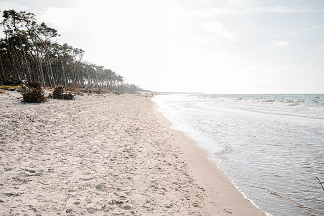 Ferienwohnung in Ahrenshoop - Strandjuwel 2 - Bild 9