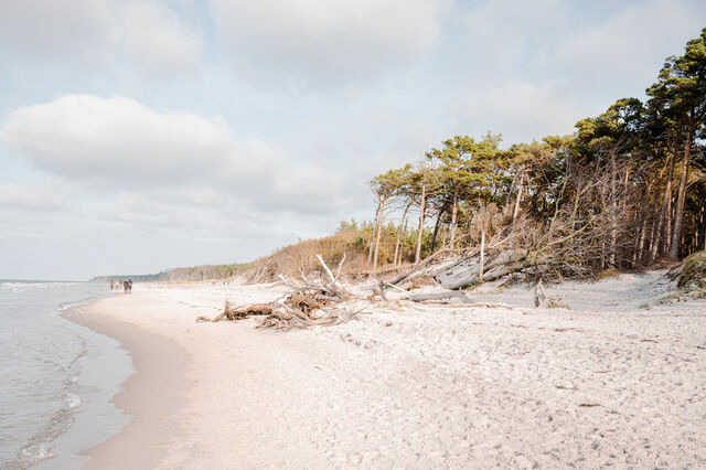 Ferienwohnung in Ahrenshoop - Meerblick 4 - Bild 9
