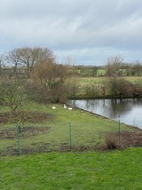 Ferienwohnung in Fehmarn OT Petersdorf - Fehmarn 17-2 - Bild 9