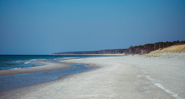 Ferienwohnung in Ahrenshoop - Strandliebe 1 - Bild 8