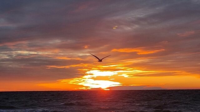 Ferienwohnung in Kellenhusen - Kleiner Ostseetraum - Bild 16