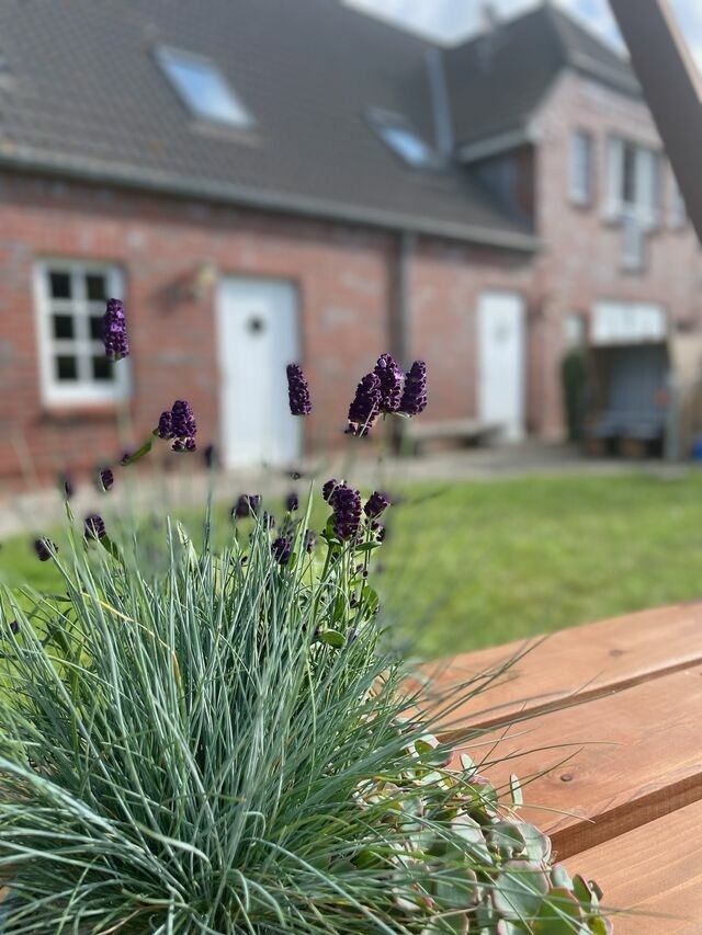 Ferienwohnung in Fehmarn OT Wulfen - Jelle von der Welle - Bild 19