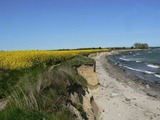 Ferienwohnung in Gro&szlig;enbrode - Strandperle 12 - Gro&szlig;enbrode - Bild 16