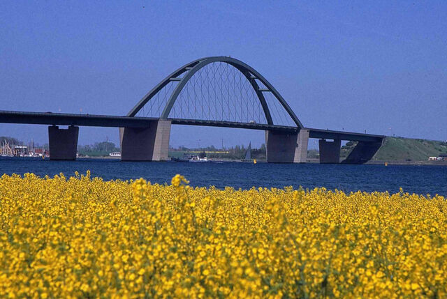 Ferienwohnung in Großenbrode - Küstenzauber 17 - Großenbrode - Bild 19