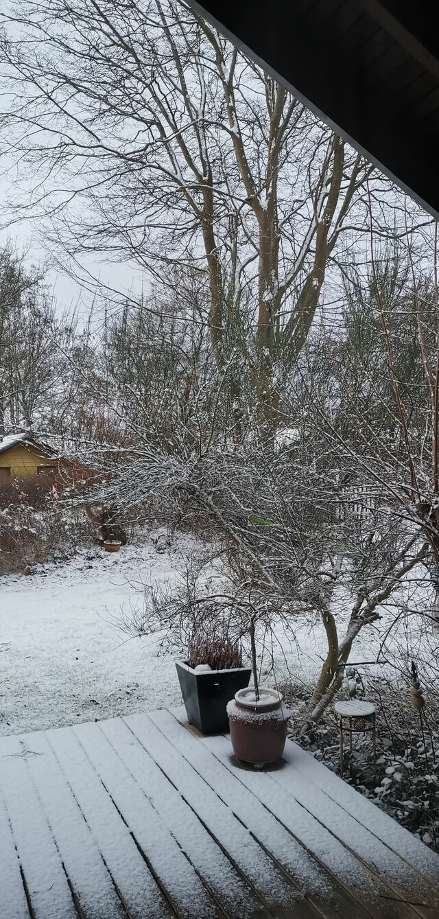 Ferienhaus in Glücksburg - Ferienhaus "Blaue Blume" - Bild 15