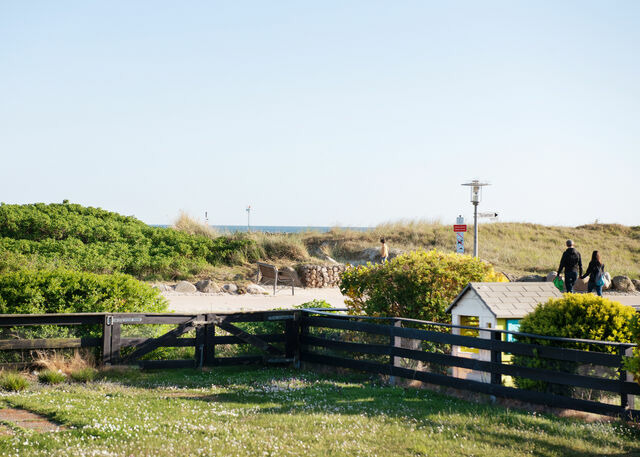 Bungalow in Fehmarn OT Burgtiefe - Strandhaus "Düne 55" - Bild 18