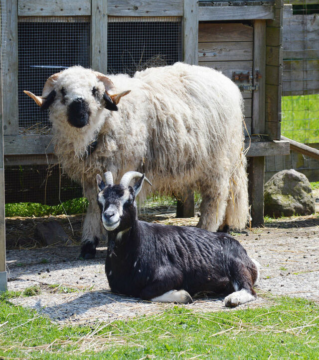 Ferienwohnung in Fehmarn OT Staberdorf - Tenne 6, inkl. 1 Parkplatz - Bild 11