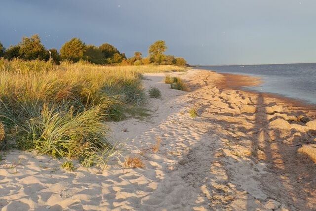Ferienwohnung in Gahlkow - Strandperle 2 - Bild 13