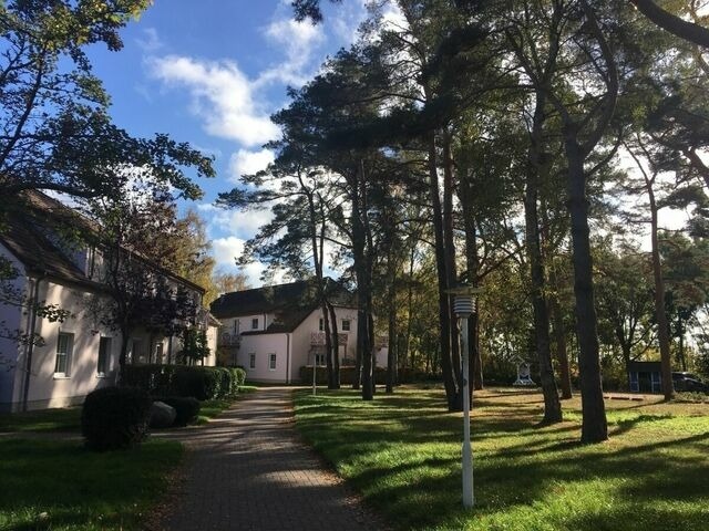 Ferienwohnung in Dierhagen - Ferienwohnung Toplaterne - Bild 17