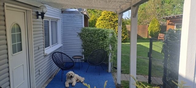 Bungalow in Rövershagen - Ferienhaus Sommer - Bild 21