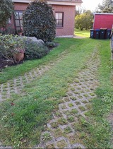 Ferienwohnung in Kellenhusen - Ferienwohnung Frieling 1 - Bild 9