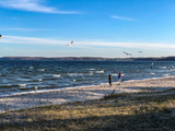 Ferienwohnung in Glücksburg - Ferienwohnung Sailing - Bild 21