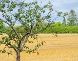 Ferienwohnung in Blekendorf - AHOI MARIE - Bild 25