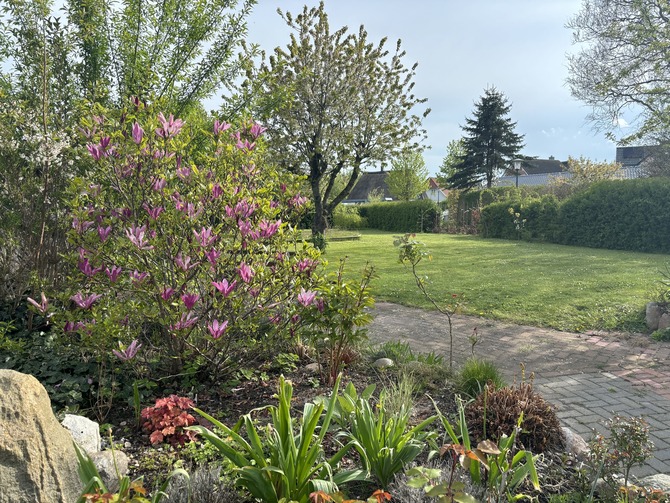 Ferienwohnung in Groß Schwansee - KIttel/Prior - Bild 17