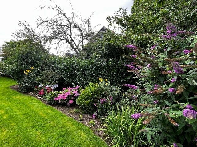 Ferienhaus in Rabenkirchen-Faulück - Ferienhaus Spatz - Bild 16