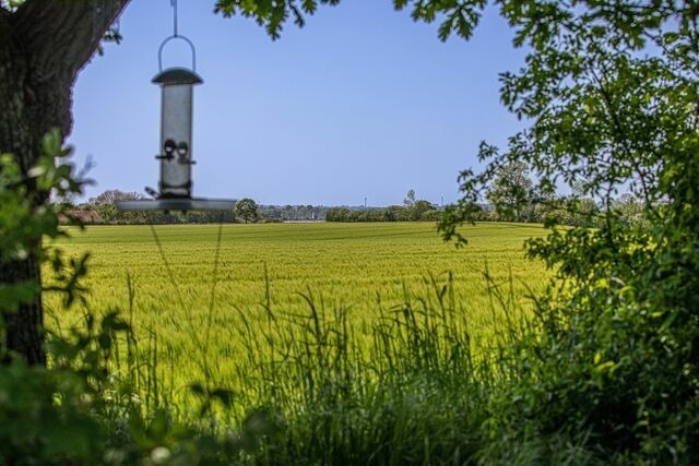 Ferienwohnung in Gelting - Ferienwohnung Luv - Bild 18