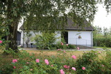 Ferienhaus in Rabenkirchen-Faulück - Ottos Ferienhäuser "Gruppenhaus Schlei" - Bild 1