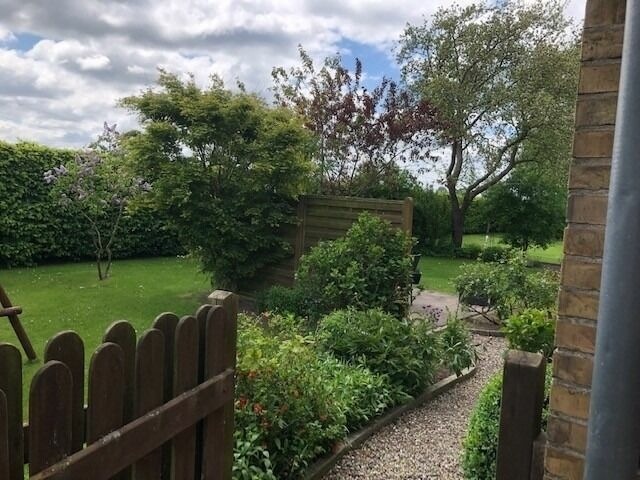 Ferienhaus in Winnemark - Ferienhaus Waldidylle - Bild 14