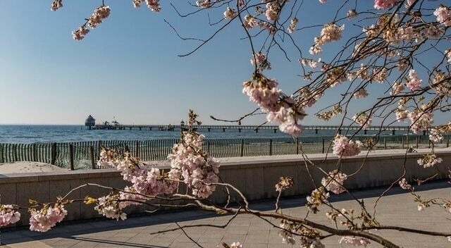 Ferienwohnung in Grömitz - Haus Jutta - Appartement 1 - Bild 20