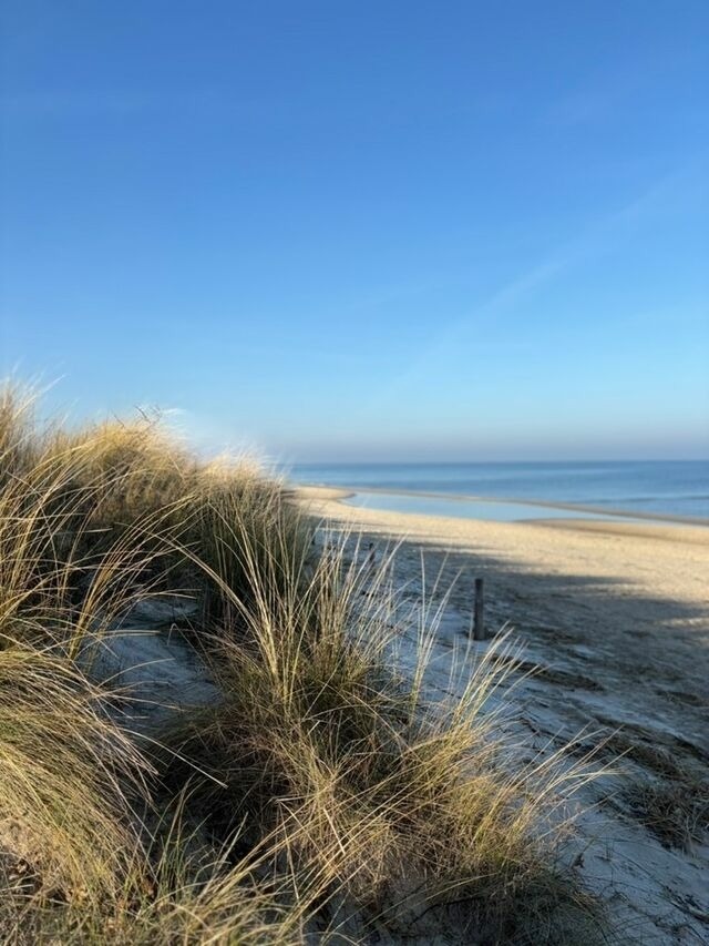 Bungalow in Koserow - NEU: "Lütt Haus" Andrea in Koserow- 300Meter zur Ostsee - Bild 19