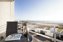 Stranddistel 7 L&uuml;tte H&uuml;tt