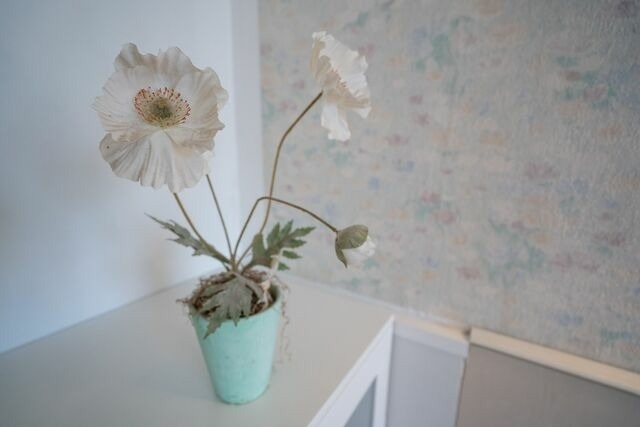 Ferienwohnung in Gr&ouml;mitz - Carpe Diem - Bild 9