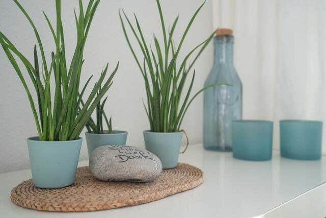 Ferienwohnung in Grömitz - Strandschloss Wohnung 40 - Bild 14