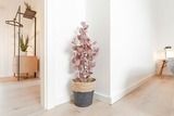 Ferienwohnung in Kellenhusen - Ostseeperle Marlene - Bild 23