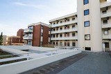 Ferienwohnung in Gr&ouml;mitz - Belvedere Deichsicht - Bild 24