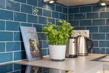Ferienwohnung in Kellenhusen - Ostseeperle Meerblau - Bild 25