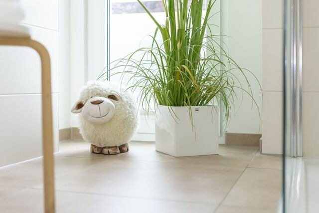 Ferienwohnung in Scharbeutz - Lachmöwe - Bild 20