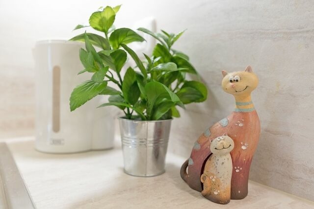 Ferienwohnung in Timmendorfer Strand - Haus Eva Mar am Meer Appartement 5 - Bild 12