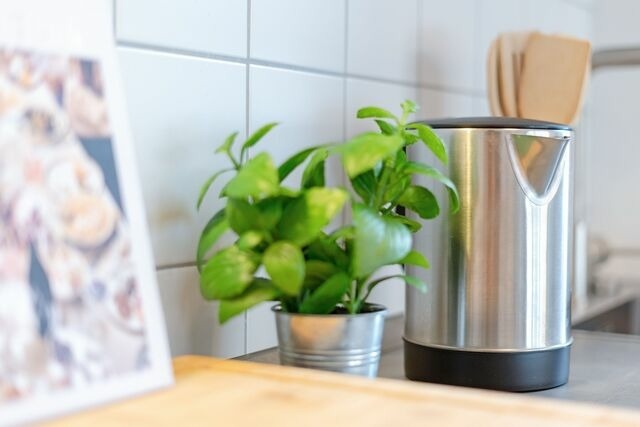 Ferienwohnung in Malente - Zuckersnuut - Bild 14